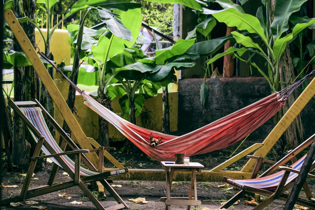 Hostel Life Is Good Moyogalpa Bagian luar foto